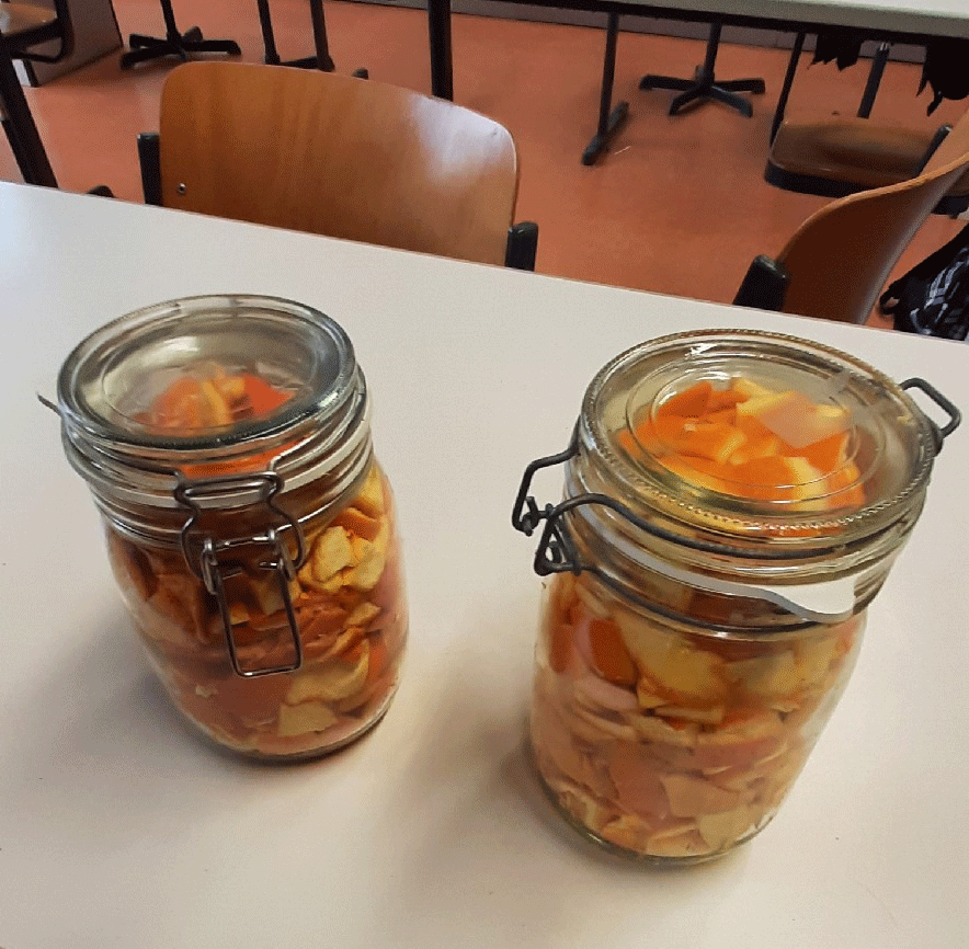 Orangenreiniger_Februartipp